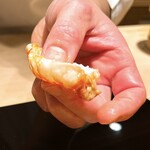 恵比寿 鮨 ふじまさ - 車海老
      
      生きた状態で茹でることで味噌が身に残る