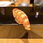 恵比寿 鮨 ふじまさ - 車海老
      
      ブリブリの身と海老味噌の旨みがガッツリと。
      
      女性には食べにくい大きさだけど、大きい方が上手くなるからこれがサービスと大将。