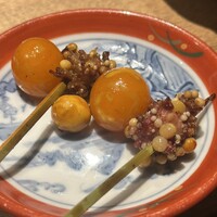 始祖鳥 - 