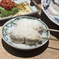 始祖鳥 - 