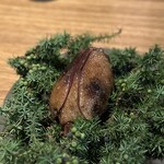 Restaurant Domestic - 小鳩のロースト