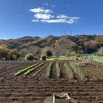 呑珠庵 - 窓の向こうに見える景色