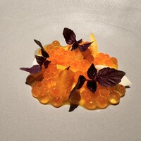 l'elan - 