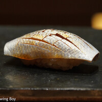 鮨処 やまと - 小肌