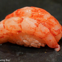 鮨処 やまと - 縞海老