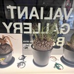 VALIANT GALLERY.Bar - 