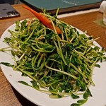 大連餃子基地 DALIAN - 