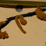 満愛貴 -  八寸　穴タコマイヤーレモン煮