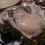 いなせや - 岩ガキ