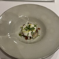 SCALAE - 