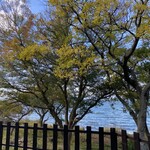 カイザーベルクビワコ - 湖畔の雰囲気も抜群です。