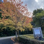 カイザーベルクビワコ - 紅葉の背景が良いですね。