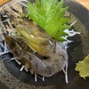 魚寅食堂 蒲田店