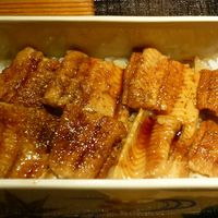 紀風 -  あなごアップ