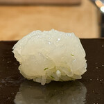 登喜和鮨 - 佐渡産アオリイカ