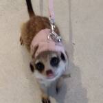 Himono Dining かまなり - 