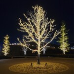 ミュージアムカフェ - 