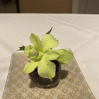 Cucina Italiana 東洞 - 