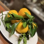 スガラボヴィー - 