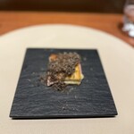 スガラボヴィー - 