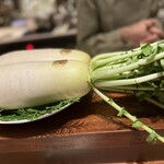 スガラボヴィー - 