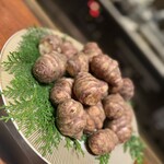 スガラボヴィー - 