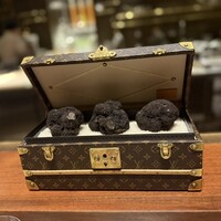 スガラボヴィー - 