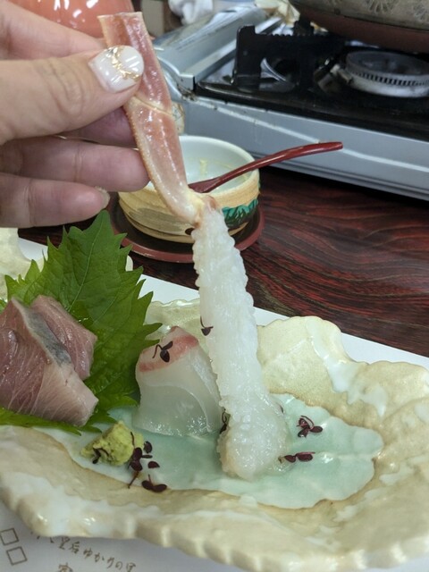 Yadori Sanyoso photo 5