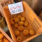 田舎の市場 - 