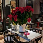 Wine Terrace Yu-me - 