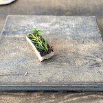 レヴォ - ・太刀魚