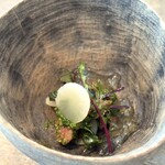 レヴォ - ・月ノ輪熊