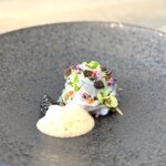 レヴォ - ・水蛸