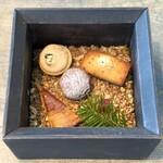 レヴォ - ・ミニャルディーズ