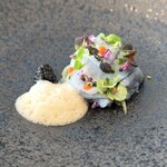 レヴォ - ・水蛸