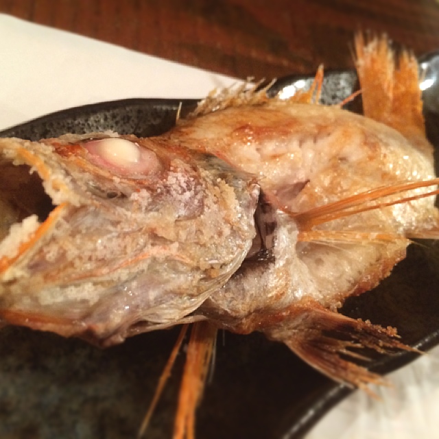 リニューアル 魚焼 いたる 旧店名 柿木茶屋 いたる 野町 居酒屋 食べログ リニューアル 魚焼 いたる 旧店名 柿木茶屋 いたる 野町 居酒屋 食べログ