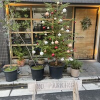 セルサルサーレ - 