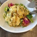 点心・中華 春夏秋冬 - エビマヨサラダ