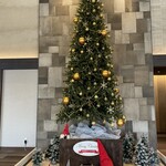 プリムローズ - 