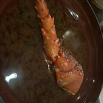 横浜瀬里奈 ステーキドーム - 