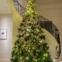 ガストロノミー ジョエル・ロブション - 