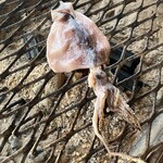 種里チギリの店 - 