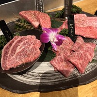 焼肉トラジ 名古屋セントラルタワーズ店 -  焼肉トラジ 名古屋セントラルタワーズ店 -