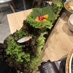 サムギョプサルと韓国料理 TUTUMU38 - 