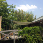 オリーブの木 - 駐車場からのデッキ