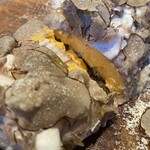 Antica Trattoria M's dal 1995 - 