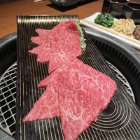 生粋 -  生粋 -