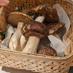 馳走 啐啄一十  - 