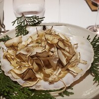 レフェルヴェソンス - 