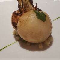 レフェルヴェソンス - 